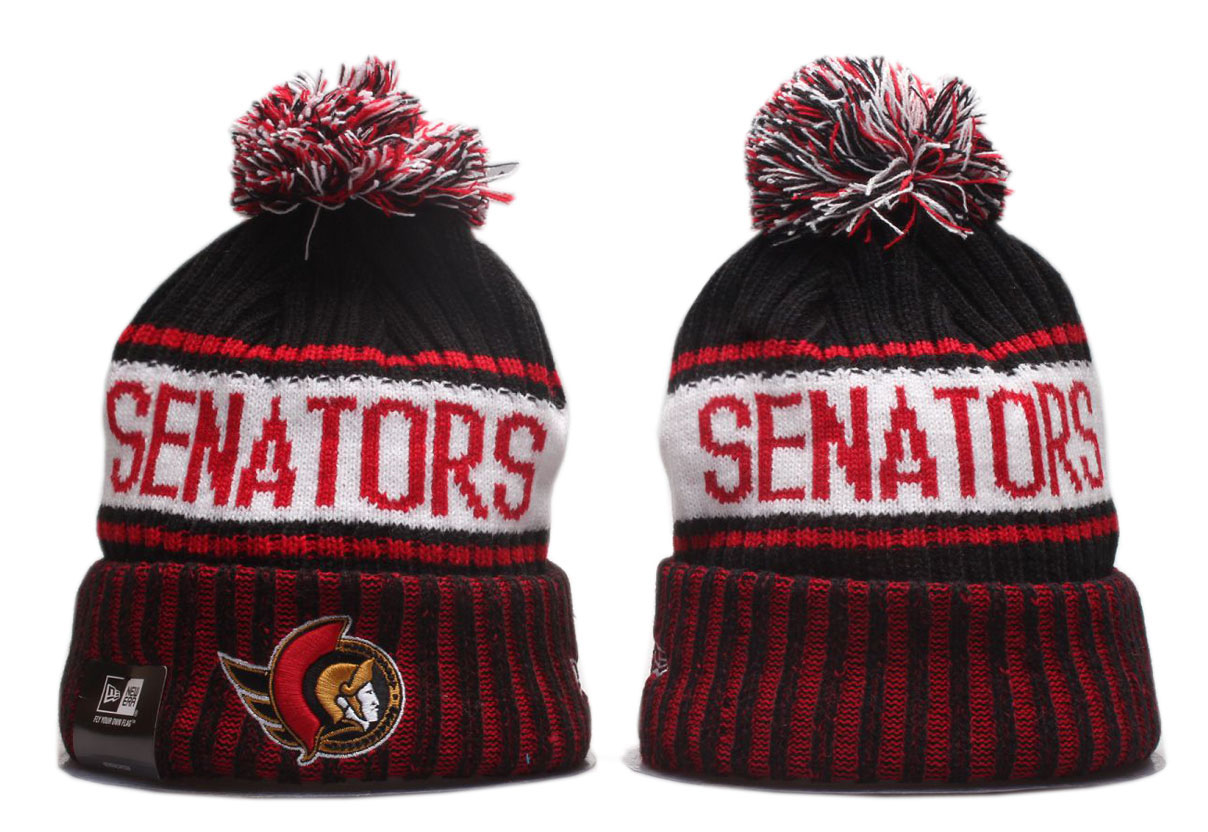 2023 NHL Beanies24->ottawa senators->NHL Jersey
